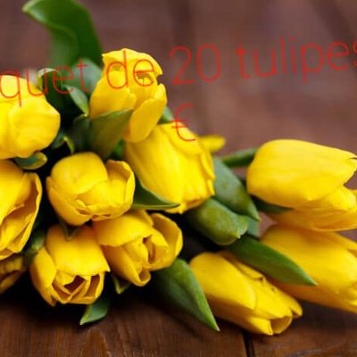Bouquet de 20 tulipes